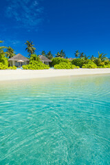 Stunning panoramic tropical beach landscape with soft sand, turquoise sea, palm trees, sunny sky, and gentle waves. Best picturesque paradise island Maldives for summer vacation, tourism, top travel