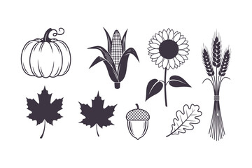 Autumn Harvest and Thanksgiving Elements Vector Illustration