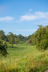 Streubostwiese mit schönem weißblauem Himmel