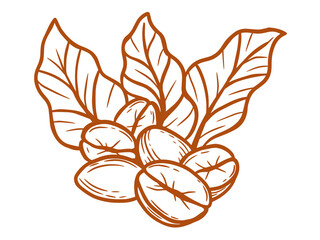 hand drawn Fresh coffee beans and leaves outline isolated on transparent background