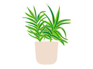 hand drawn Green potted plant isolated on transparent background