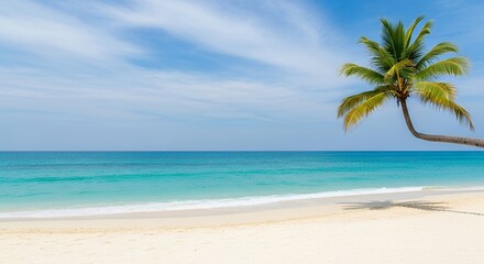 Escape to paradise with a swaying palm tree overlooking turquoise waters and pristine white sand beaches