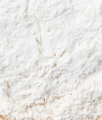 White flesh of a mushroom as an abstract background. The mushroom is eaten by worms