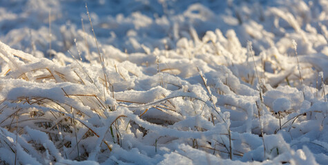 A field covered in snow and grass