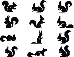 Silhouette illustration of squirrels in different poses, vector design with fluffy tails, woodland animals, wildlife concept, forest nature elements, isolated on white background