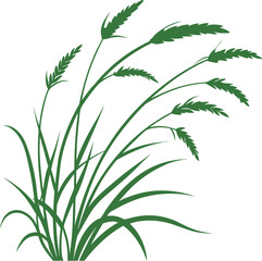 Green grass plant illustration isolated on white background. Detailed botanical foliage vector perfect for eco, garden, nature, and decorative artwork. Elegant natural greenery design.