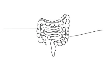 Continuous line drawing of human intestines symbolizing digestion anatomy medical health and biology illustration