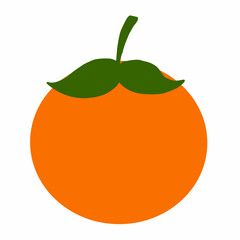 orange fruit vector illustration