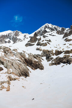 Mountaineers climbing the Glacier Blanc