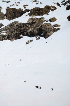 Mountaineers climbing the Glacier Blanc