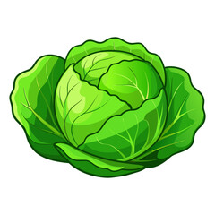 Obraz premium Flat a cabbage vector illustration design