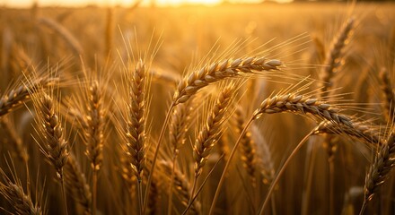 Fototapeta premium An abstract nature background for global business and technology, inspiring a lifestyle where people travel from the city, seeking a new fashion of wellbeing