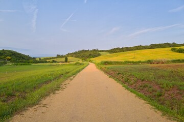 들판 구름 경작 대지 경치
