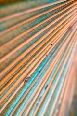 rusty metal background