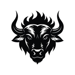 Fototapeta premium head of a bull