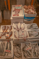 下関唐戸市場の様子