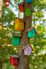 wooden birdhouse on the tree