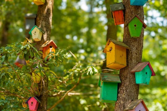 wooden birdhouse on tree