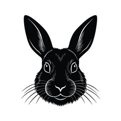 black and white rabbit
