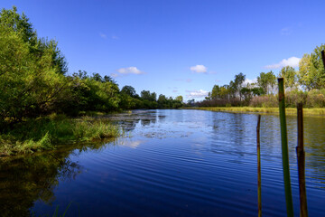  landscape with river, trees and blue sky on background