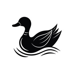 duck vector illustration