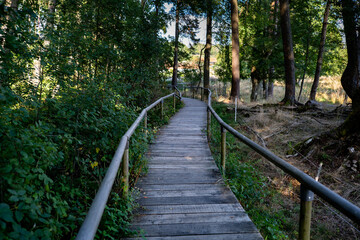 Fototapeta premium Wooden boardwalk through Schopflocher Moor nature reserve