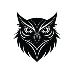 Obraz premium owl on white background