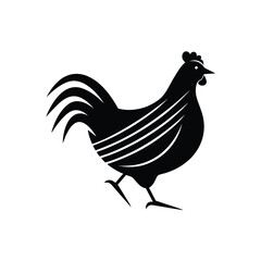 rooster vector illustration