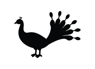 Fototapeta premium Elegant silhouette of a majestic peacock displaying its full plumage beautifully