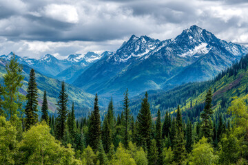 Fototapeta premium Stunning panoramic view of towering snow-capped mountains with lush green pine forest in the foreground under a dramatic cloudy sky on a vibrant day