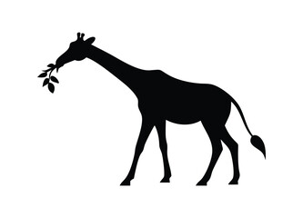 Silhouette of a majestic giraffe gracefully eating leaves from a branch in an artistic presentation