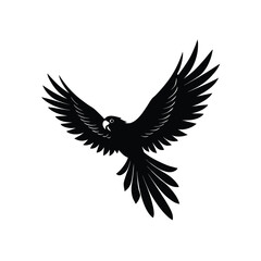 eagle vector illustration