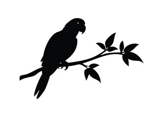 Silhouette of a parrot perched on a twig with leaves against a