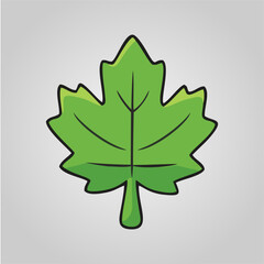 Maple leaf colorful in anime style vector art