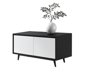 Contemporary Black and white Cabinet with Gray Smooth Vase and Abstract Branch PNG. 