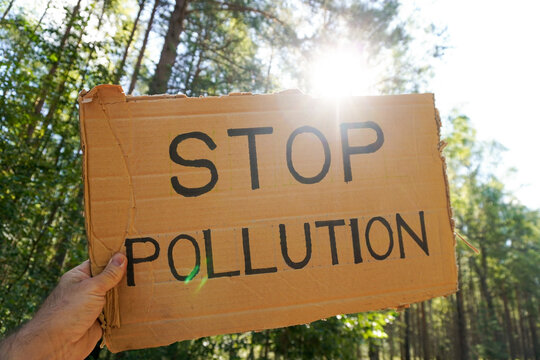 Activist showing stop pollution sign in forest, protesting against environmental damage