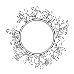 Marjoram Branch with Leaves Outline Round Frame. Organic natural nutritional healthy food ingredient, vegetarian diet product. Vector isolated for design or decoration.