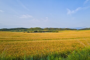 들판 구름 경작 대지 경치