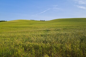 들판 구름 경작 대지 경치
