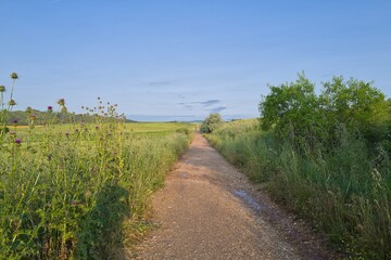 들판 구름 경작 대지 경치