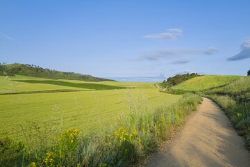 들판 구름 경작 대지 경치