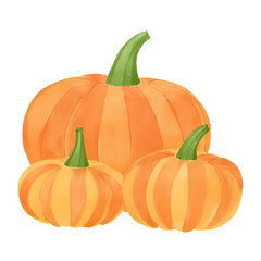 Fototapeta premium three watercolor autumn pumpkins isolated on a transparent background