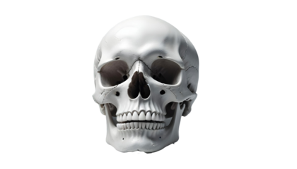 A stark human skull against a transparent backdrop, symbolizing the eerie spirit of Halloween and the mystical