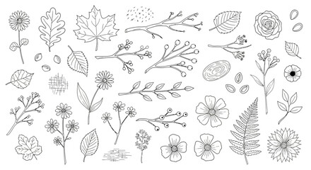 Botanical line art elements for elegant design projects, flowers and leaves for creative compositions