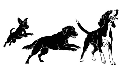 Obraz premium Playful dogs having fun jumping and looking up, perfect for pet lovers and animal designs