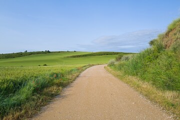 자연 목초 경작 녹색 들판 하늘 구름 아웃도어