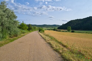 자연 목초 경작 녹색 들판 하늘 구름 아웃도어