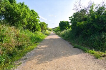 자연 목초 경작 녹색 들판 하늘 구름 아웃도어