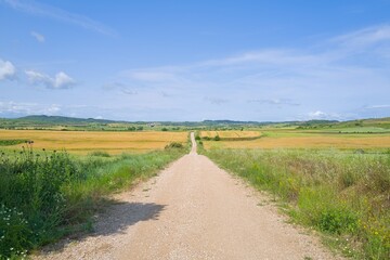 자연 목초 경작 녹색 들판 하늘 구름 아웃도어