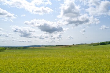 자연 목초 경작 녹색 들판 하늘 구름 아웃도어